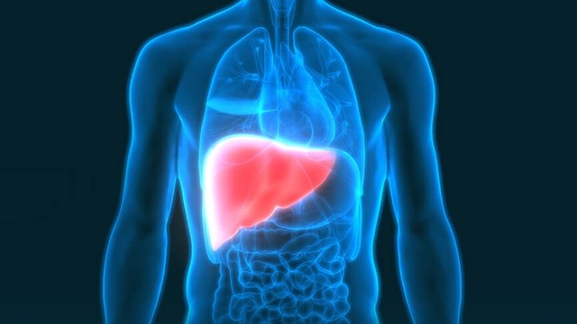 bai-viet/nong-gan-uong-thuoc-gi-top-3-loai-thuoc-tri-nong-gan-pho-bien-hien-nay.html