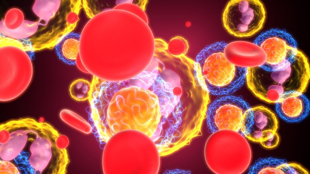 benh/suy-tuy-xuong.html