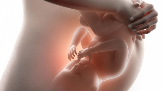 benh/sa-tu-cung-khi-mang-thai.html