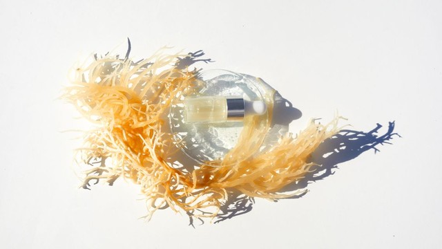 bai-viet/sea-moss-gel-la-gi-va-co-cong-dung-gi-voi-suc-khoe.html