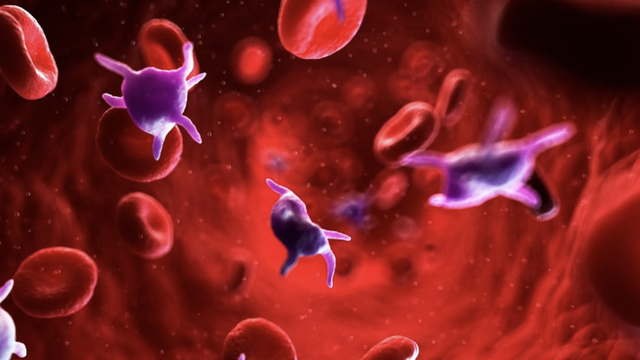 bai-viet/suy-nhuoc-tieu-cau-nguyen-nhan-va-cach-dieu-tri.html