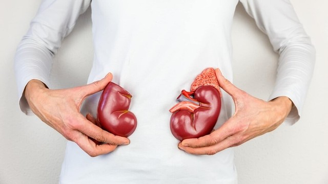 bai-viet/suy-than-do-5-la-gi-muc-do-nguy-hiem-va-tien-luong-cua-suy-than-do-5.html