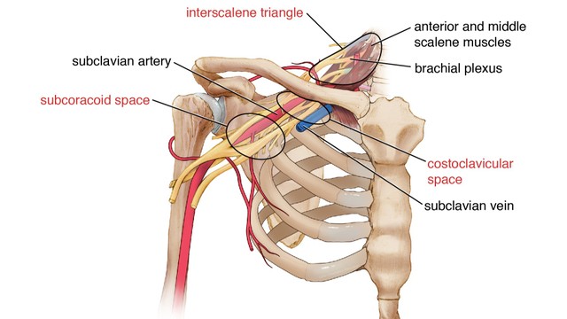 benh/hoi-chung-loi-thoat-long-nguc.html