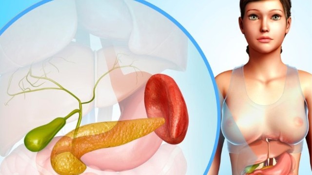 bai-viet/tang-insulin-mau-la-gi-nguyen-nhan-trieu-chung-va-dieu-tri-tang-insulin-mau.html