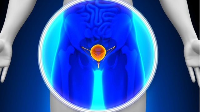 bai-viet/mo-soi-bang-quang-bao-nhieu-tien-co-cac-phuong-phap-phau-thuat-soi-bang-quang-nao.html