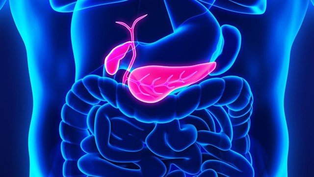 bai-viet/benh-u-tuy-noi-tiet-insulinoma-la-gi-phuong-phap-dieu-tri-nhu-the-nao.html