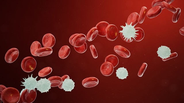 bai-viet/ung-thu-mau-la-benh-gi-ung-thu-mau-ghep-tuy-song-duoc-bao-lau.html