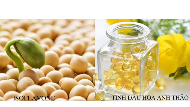 bai-viet/goc-giai-dap-uong-hoa-anh-thao-va-mam-dau-nanh-cung-luc-duoc-khong.html