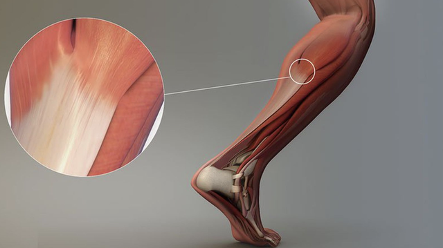 bai-viet/gan-la-gi-vai-tro-va-chuc-nang-cua-gan-voi-su-hoat-dong-cua-co-the.html