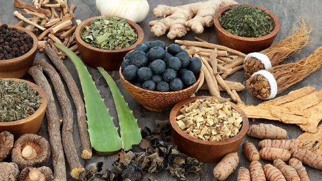 bai-viet/adaptogens-la-gi-co-tac-dung-gi-voi-suc-khoe-va-tinh-than.html