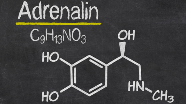 bai-viet/adrenaline-la-gi-tac-dung-cua-hormone-adrenaline.html