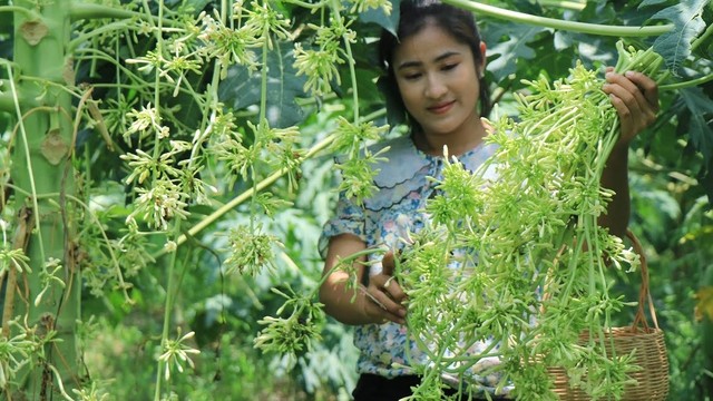 bai-viet/ai-khong-nen-uong-hoa-du-du-duc.html