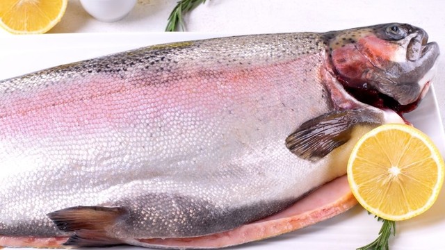 bai-viet/an-ca-hoi-van-co-tot-khong-khi-an-ca-hoi-van-can-luu-y-nhung-gi.html