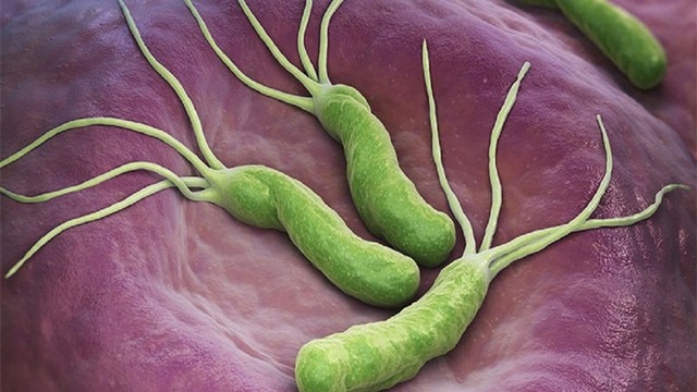 bai-viet/an-chung-voi-nguoi-nhiem-hp-co-sao-khong.html