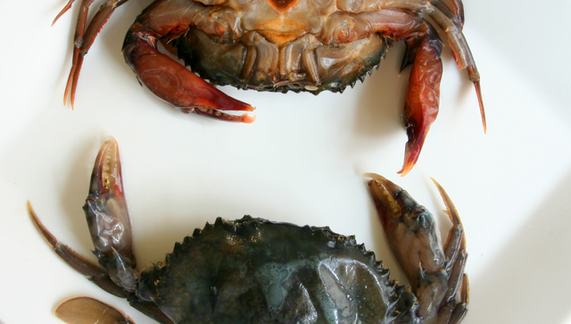 bai-viet/an-cua-com-co-loi-cho-suc-khoe-khong-can-luu-y-gi-khi-an-cua-com.html