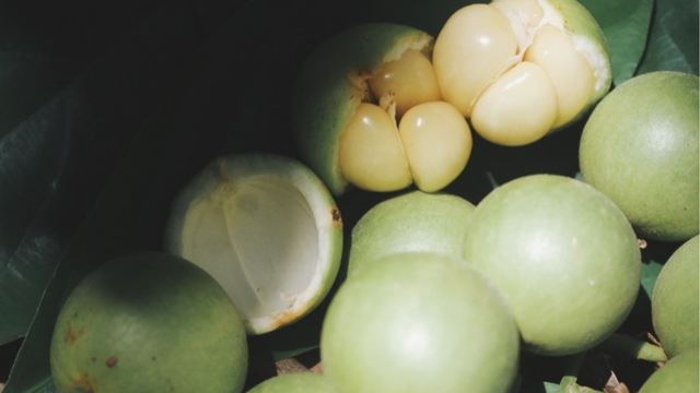 bai-viet/an-dau-da-xanh-co-nuot-hat-duoc-khong-cach-han-che-nuot-hat-dau-da-cho-tre.html