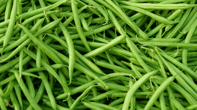 bai-viet/an-dau-dua-co-tac-dung-gi-thanh-phan-dinh-duong-cua-dau-dua.html