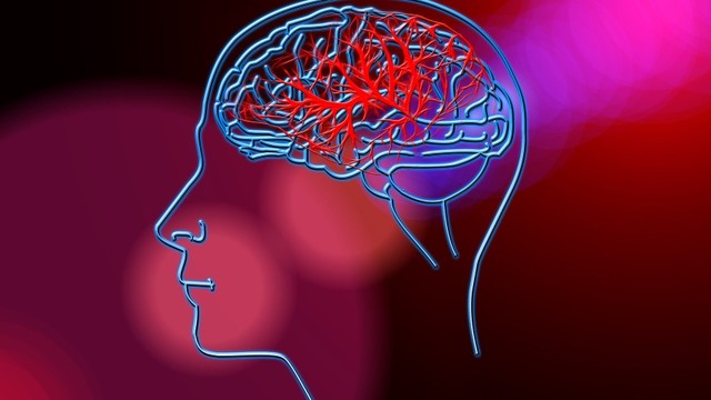 bai-viet/an-gi-de-cai-thien-chuc-nang-tuan-hoan-mau-nao.html