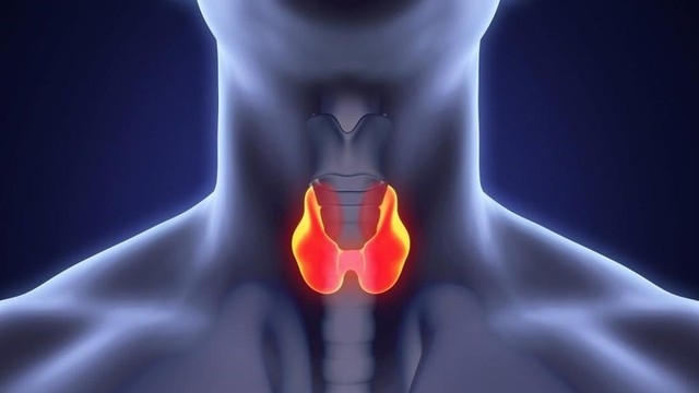 bai-viet/an-gi-tot-cho-tuyen-giap-thuc-pham-phong-benh-tuyen-giap-hieu-qua.html