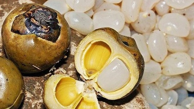 bai-viet/hat-dac-la-gi-an-hat-dac-co-tac-dung-gi-72293.html