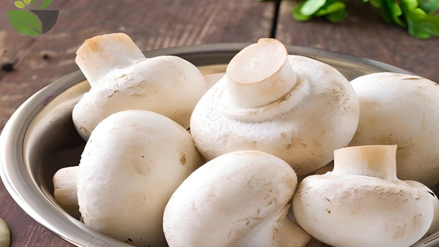 bai-viet/an-nam-rom-co-tot-khong-62475.html