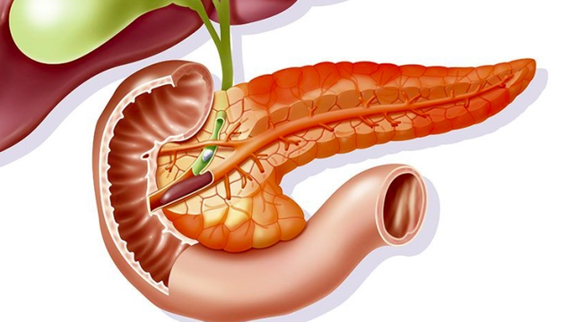 bai-viet/an-nhieu-chat-beo-luoi-van-dong-coi-chung-viem-tuy-51232.html