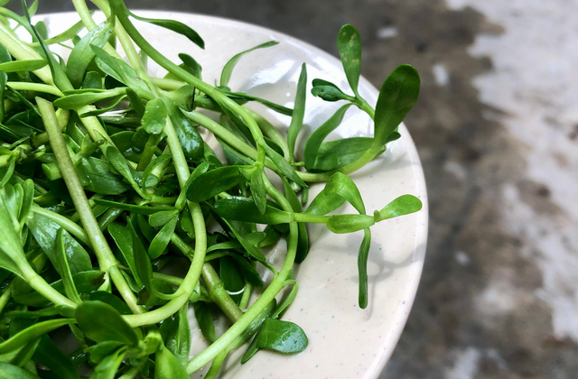 bai-viet/an-rau-dang-hang-ngay-co-tot-khong-rau-dang-co-tac-dung-gi.html