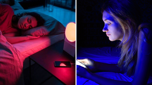 bai-viet/anh-sang-do-va-anh-sang-xanh-tim-khac-nhau-nhu-the-nao.html