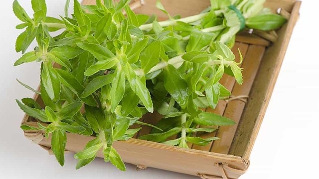 bai-viet/ba-bau-an-rau-ngo-om-duoc-khong-loi-giai-dap-va-luu-y-cho-me-bau.html