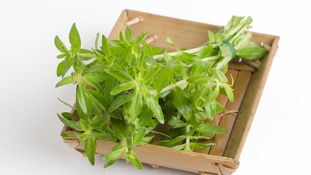 bai-viet/bac-si-giai-dap-uong-rau-om-voi-nuoc-dua-co-tac-dung-gi.html