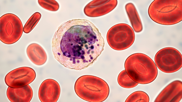 bai-viet/bach-cau-ai-kiem-chuc-nang-cau-tao-vai-tro-va-tinh-trang-suc-khoe-lien-quan.html