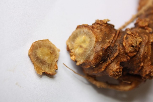 bai-viet/bai-thuoc-dan-gian-chua-benh-tim-mach-o-nam-gioi-hieu-qua-20741.html