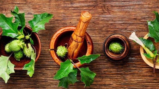 bai-viet/tong-hop-cac-bai-thuoc-dan-gian-tu-ca-doc-duoc.html