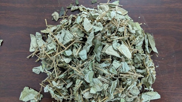 bai-viet/bai-thuoc-dieu-tri-benh-soi-than-bang-kim-tien-thao-56064.html