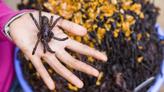 bai-viet/bai-thuoc-ky-la-chua-dai-dam-bang-nhen-69095.html