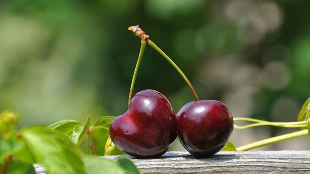 bai-viet/bau-an-cherry-duoc-khong-8-loi-ich-suc-khoe-cua-qua-cherry-doi-voi-phu-nu-mang-thai.html