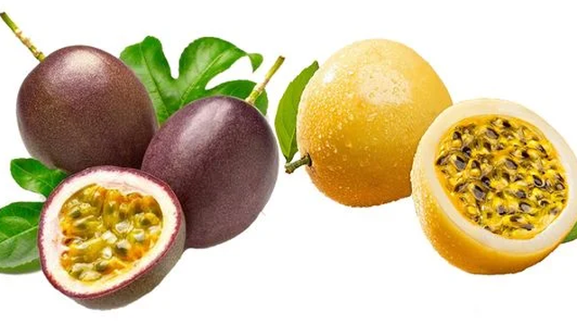 bai-viet/chanh-day-vang-va-chanh-day-tim-co-gi-giong-va-khac-nhau.html