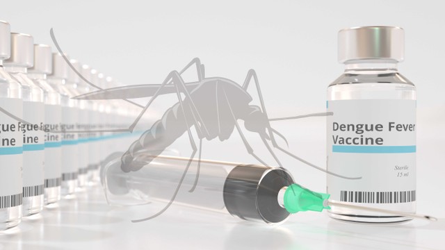 bai-viet/da-bi-sot-xuat-huyet-co-can-tiem-phong-khong.html