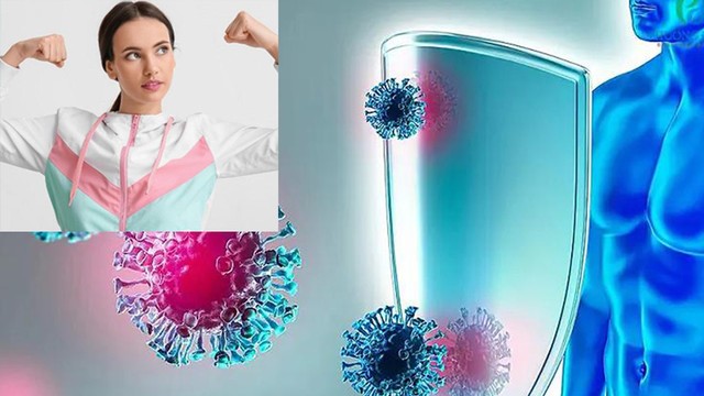 bai-viet/mien-dich-tap-nhiem-la-gi-vai-tro-cua-mien-dich-tap-nhiem-trong-bao-ve-suc-khoe.html