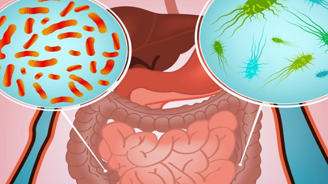 bai-viet/nhiem-khuan-duong-ruot-o-nguoi-lon-nhan-biet-nhu-the-nao.html