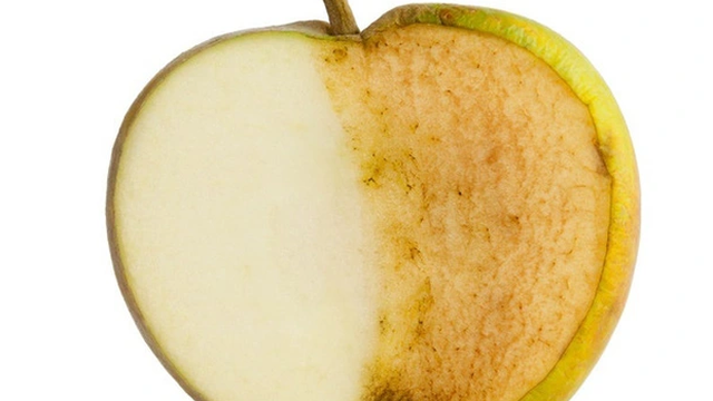 bai-viet/tao-bi-tham-ben-trong-co-an-duoc-khong-huong-dan-cach-bao-quan-tao-tuoi-lau.html