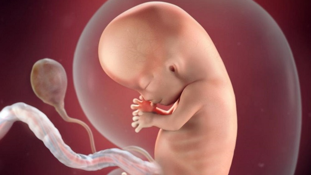 bai-viet/tim-thai-tuan-7-bao-nhieu-la-binh-thuong.html