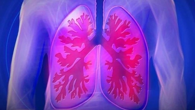 bai-viet/ung-thu-phoi-co-an-duoc-sam-khong-luu-y-quan-trong-khi-su-dung-nhan-sam.html