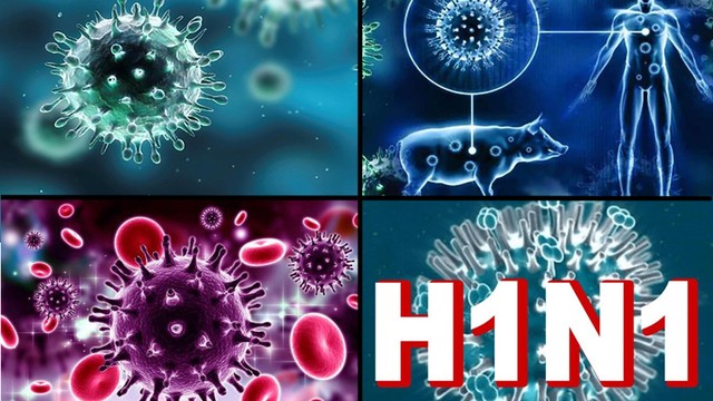 bai-viet/virus-cum-a-h1-n1-la-gi-cach-lay-lan-va-bien-phap-phong-ngua.html