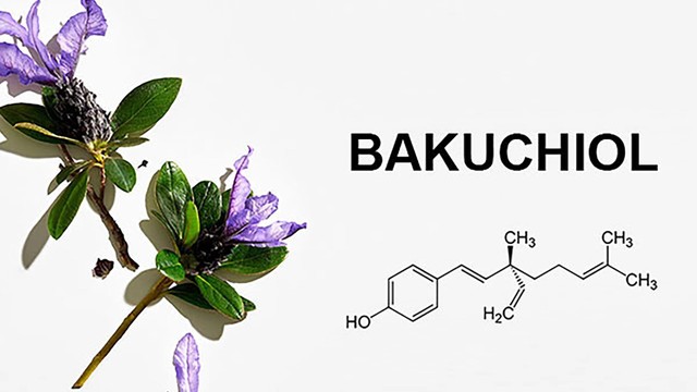 bai-viet/bakuchiol-la-gi-tac-dung-cua-bakuchiol-trong-viec-tre-hoa-lan-da.html