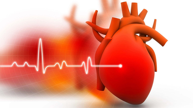 bai-viet/ban-da-biet-y-nghia-cua-chi-so-ef-trong-sieu-am-tim-chua.html