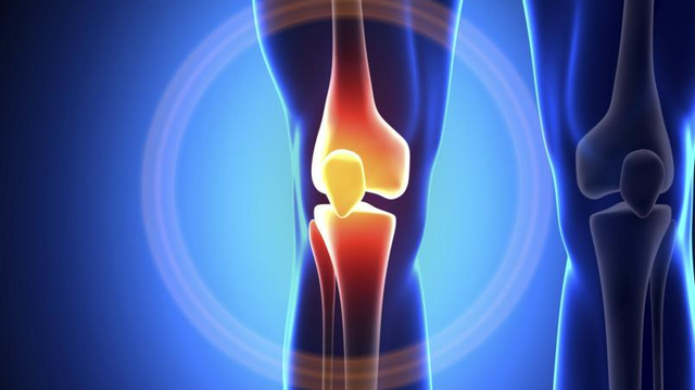 bai-viet/bao-ve-cac-mo-sun-khop-mot-cach-toi-uu-voi-condition-joint.html