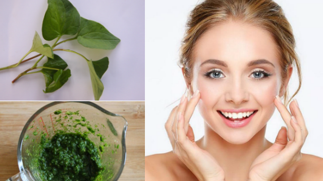 bai-viet/bat-mi-cho-ban-3-cach-tri-nam-bang-rau-diep-ca-don-gian-hieu-qua.html