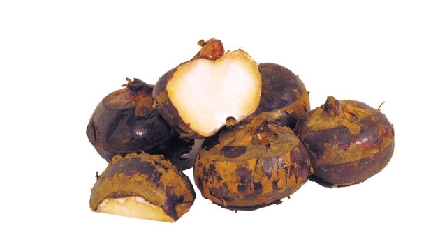 bai-viet/bau-an-cu-nang-duoc-khong-cach-an-cu-nang-tot-cho-me-bau.html