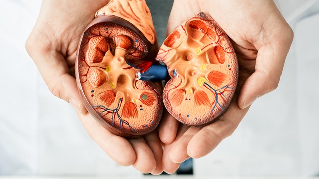 benh/benh-cau-than-to-huyet-mien-dich.html